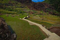 down the unclear path